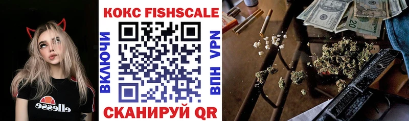 Cocaine Fish Scale  цены   Чадан 