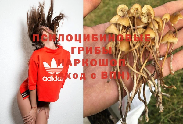 гидропоника Новозыбков
