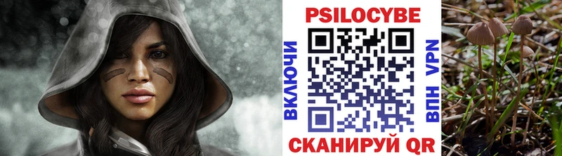 Псилоцибиновые грибы Psilocybine cubensis  Чадан 